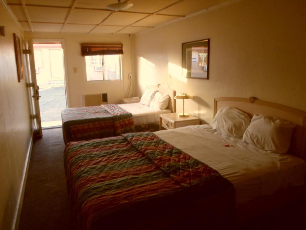 Desert Moon Motel Las Vegas Quarto foto